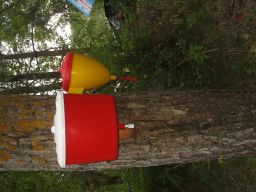 exp-zr-2009 444